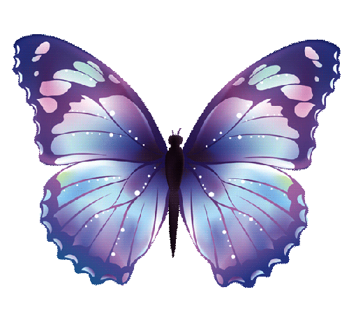 butterfly.gif - 370.47 Kb